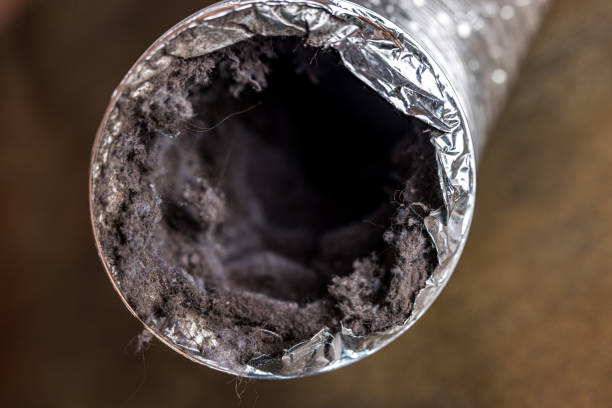 Best Best Air Duct Cleaning Near Me  in Nettleton, MS