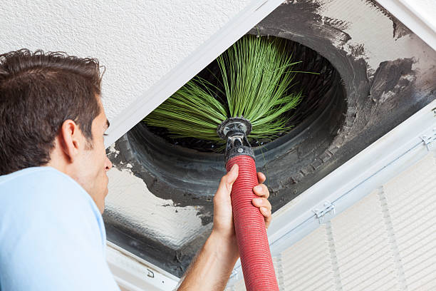 Best Home Air Vent Cleaning  in Nettleton, MS